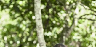 ‘If you can buy a jet but not pay farmers, the jet will vote for you’ – Minority to NDC gov’t