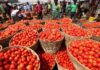 Government to engage Burkina Faso over fresh tomato export suspension
