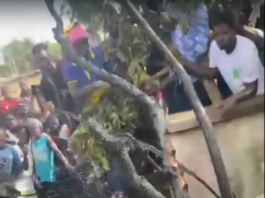 Two reportedly burnt after helicopter crashes at Tema