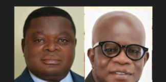 Let’s fix governance and performance gaps in SOEs – Experts