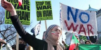 Hopes and fears as US Iranians take to streets after toppling of supreme leader