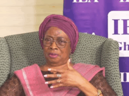 ‘Why cut what you just raised?’ — Sophia Akuffo questions gov’t levy decision