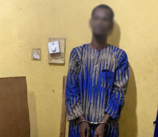 Suspected robber dies after leaping from moving police vehicle