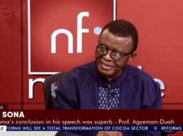 Dissolution of SOE boards signals Mahama’s resolve to shake up government — Prof Agyeman-Duah