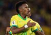 Estevao could be Brazil’s World Cup’s surprise – Davide Ancelotti