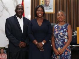 Jomoro MP engages US investors to boost jobs and tourism