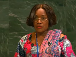 Imprisonment should be rehabilitative, not punitive – Prisons boss at UNGA