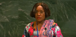 Imprisonment should be rehabilitative, not punitive – Prisons boss at UNGA