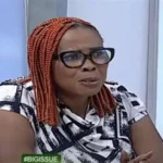 He talks too much – NDC Communications team member criticises OSP