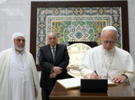 Pope Leo lands in Algeria for historic visit as he starts Africa tour