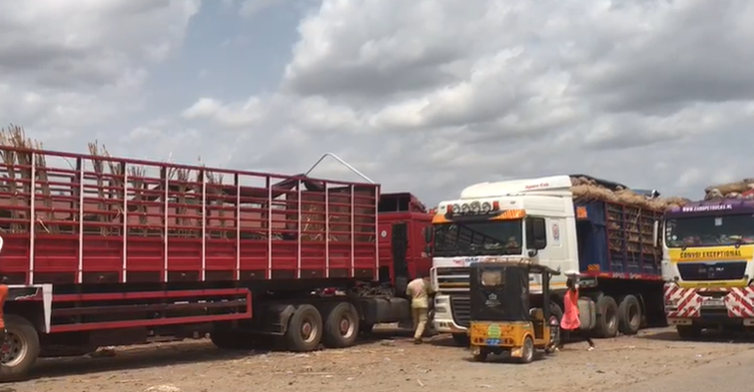 59 Ghanaian onion trucks locked in Nigeria amid trade dispute