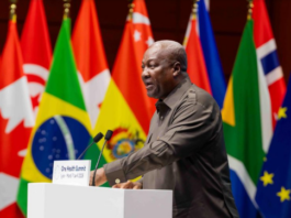 Mahama calls for equitable global health support at One Health Summit