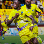 Medeama celebrate