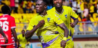 Medeama celebrate