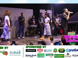 Bass, mountain air and Stonebwoy: 2026 Adom Kwahu Easter bash delivers ultimate experience