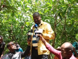 Would President Mahama have reduced cocoa prices if this were an election year? – Annoh Dompreh asks