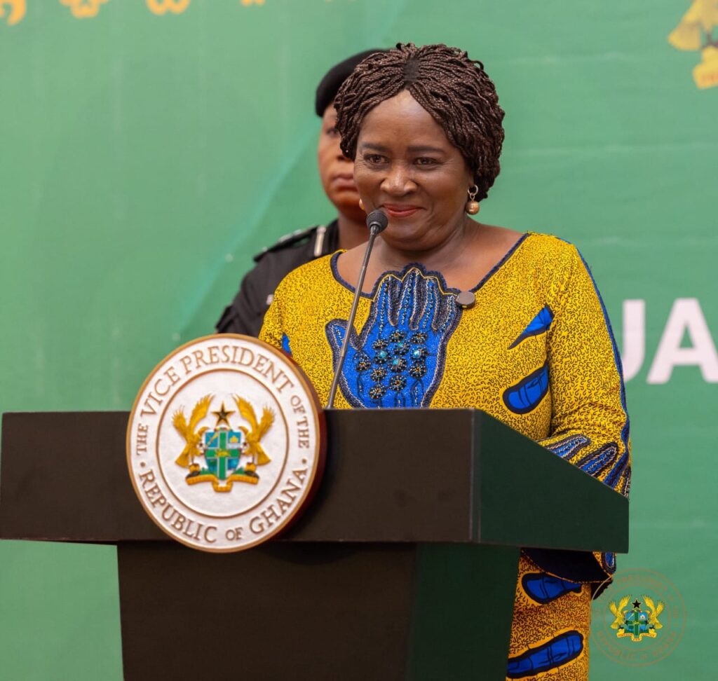 Gov’t deploys digital systems to boost revenue, curb leakages