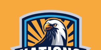 Nations FC apologise to fans after relegation blow