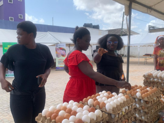 MGL’s Egg Market ends in resounding success