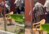 Six-year-old girl drowns in uncovered septic tank at Gbetsile
