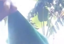 Young man apologises after controversial video targeting security personnel goes viral