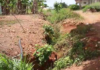 Asiakwa Suponmu residents call for proper drainage system to prevent flooding disasters