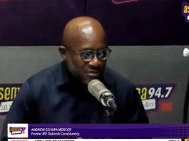 No basis for Abronye’s arrest and prosecution – Egyapa Mercer