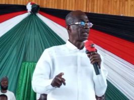 Asiedu Nketia urges communities to resist environmental destruction