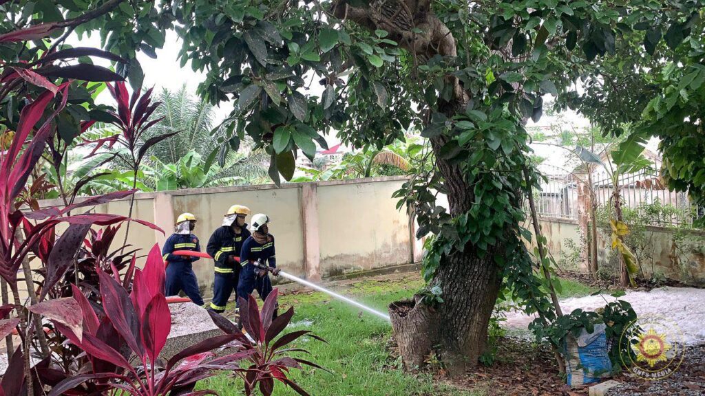 GNFS safely relocates swarm of bees at Apenkwa