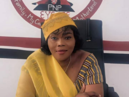 You cannot celebrate mothers while the girl child is under attack — PNP warns