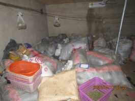 NACOC seizes 2.3 tonnes of suspected narcotics in Volta Region raid