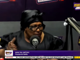Nana Yaa Jantuah, Presidential Staffer