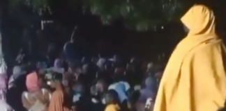 Hundreds of captives freed from Boko Haram mountain hideout