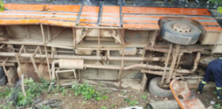 Four killed in Metro Mass Transit bus crash on Peki stretch