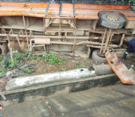 Four killed in Metro Mass Transit bus crash on Peki stretch