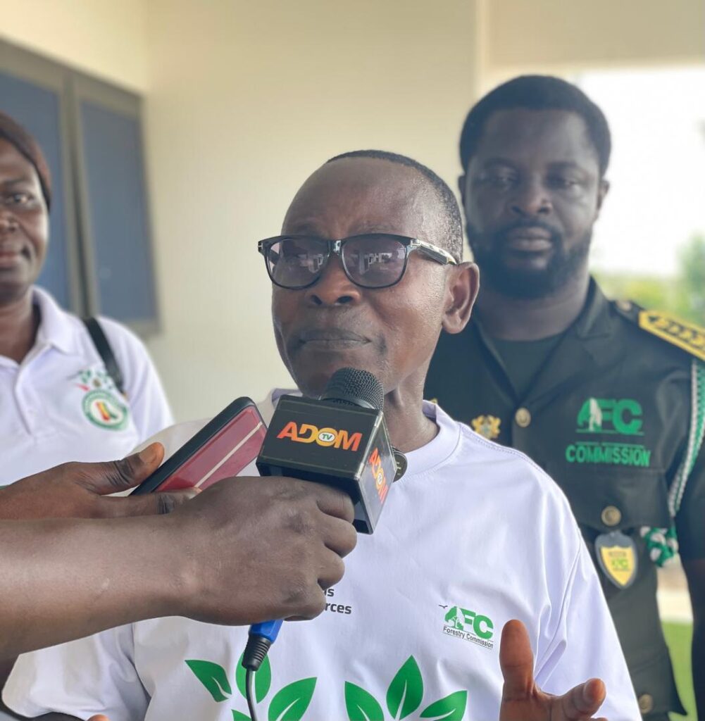 Forestry Commission seeks military support to tackle illegal