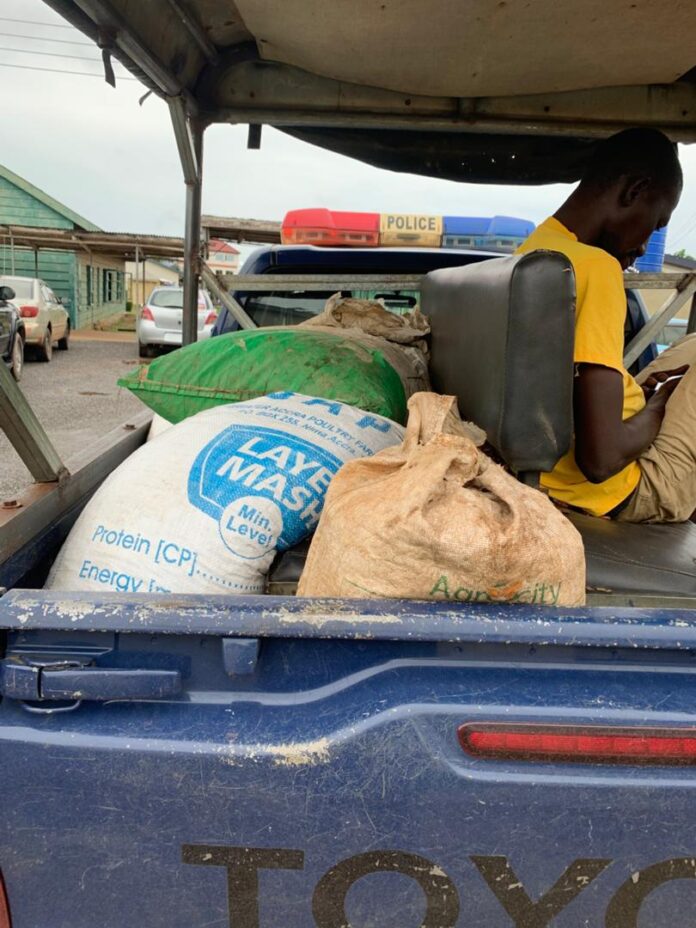 man-arrested-for-allegedly-stealing-cocoa-beans-at-akyem-asuboa