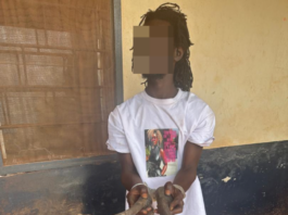 Man, 22, arrested with skeletal parts at Sefwi Atronsu