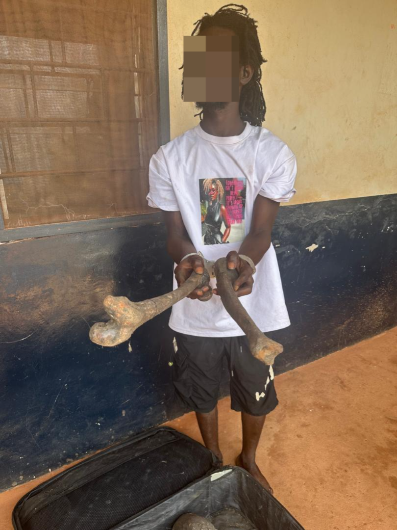 Man, 22, arrested with skeletal parts at Sefwi Atronsu - Adomonline