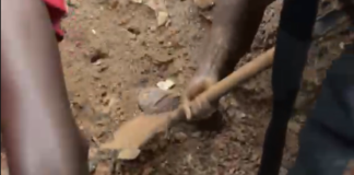 Four dead, five in critical condition as eight houses collapse in Cape Coast rainstorm
