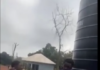 Education Ministry orders probe into viral video of student assaulting colleague