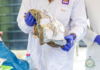NACOC, GSA begin scientific testing of seized drugs ahead of court-ordered destruction