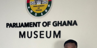 Ghana’s accountability crisis: When political power blocks parliamentary oversight – Abednego writes