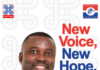 NPP needs experienced and dedicated executives to win 2028 elections – Vice Chairman hopeful