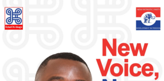NPP needs experienced and dedicated executives to win 2028 elections – Vice Chairman hopeful