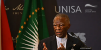 You’re chasing ghosts, not the devil – Former SA President slams blame game over foreigners