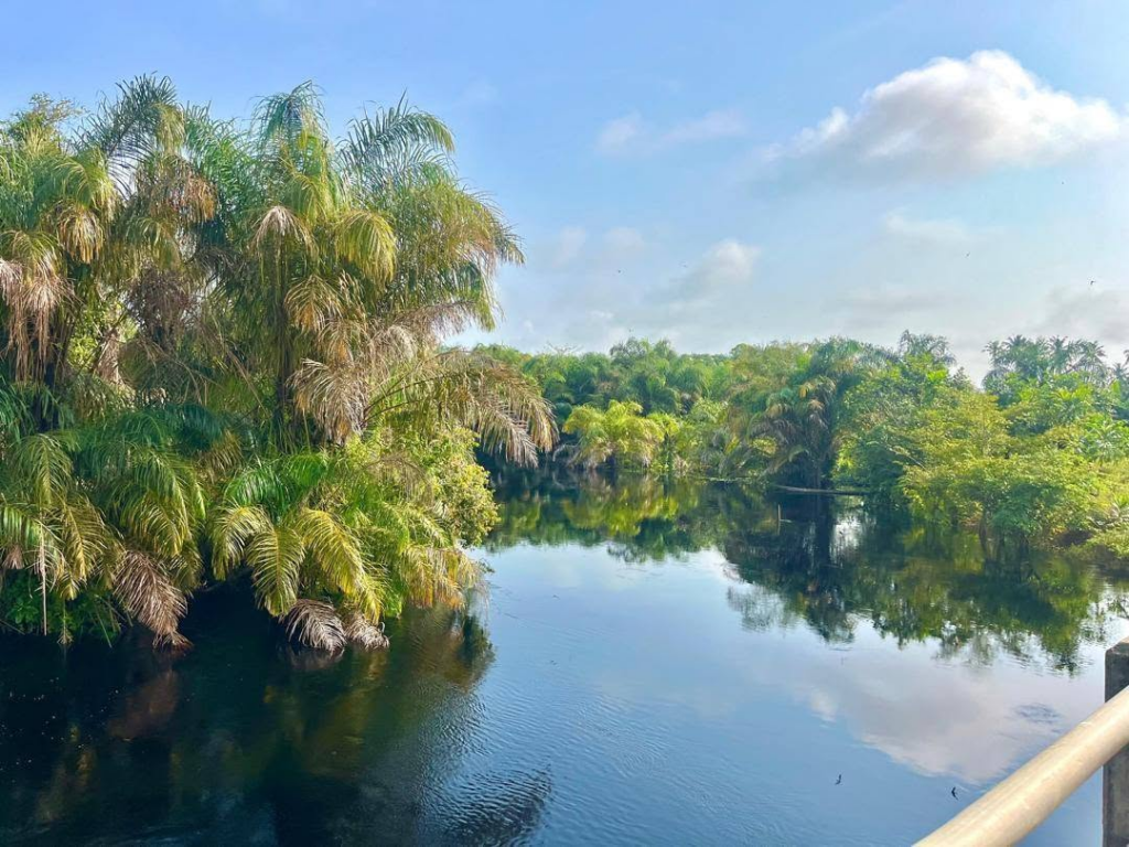 EPA pushes for Amanzule Wetlands to become Ghana’s