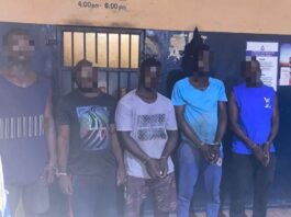 Tema: Six arrested over GH¢431,000 fertiliser, rice warehouse robberies