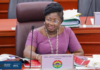 Minority Women’s Caucus in Parliament condemns alleged attack on Adwoa Safo, demands full police probe