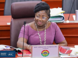 Minority Women’s Caucus in Parliament condemns alleged attack on Adwoa Safo, demands full police probe